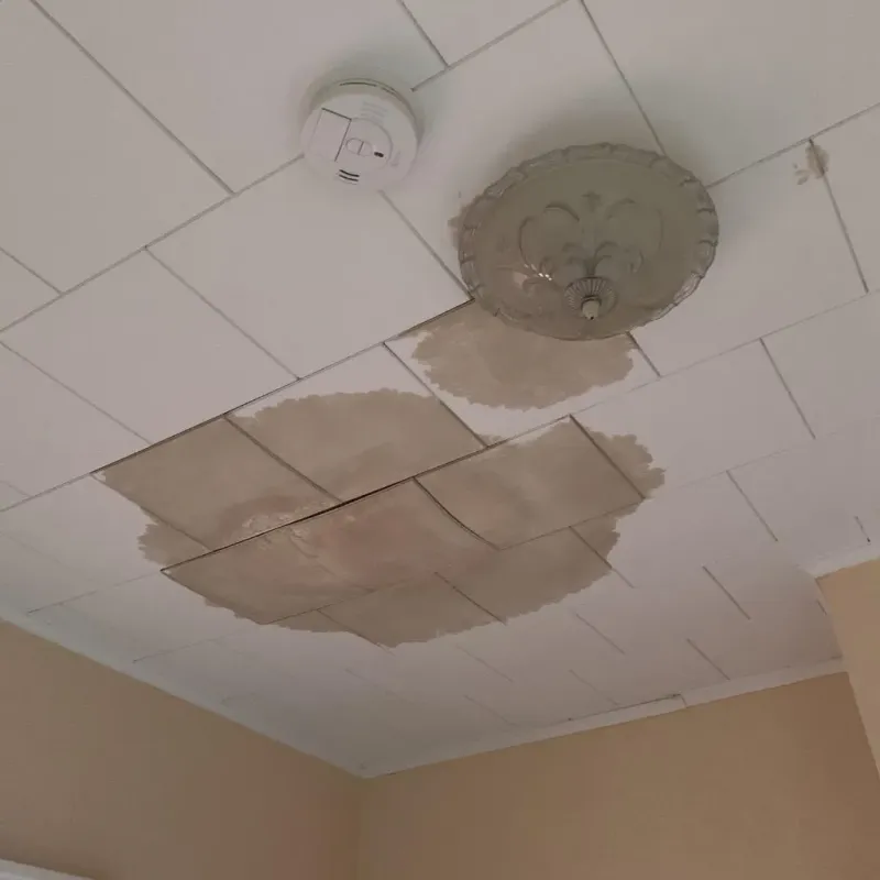 Ceiling Water Damage Repair in Rotan, TX