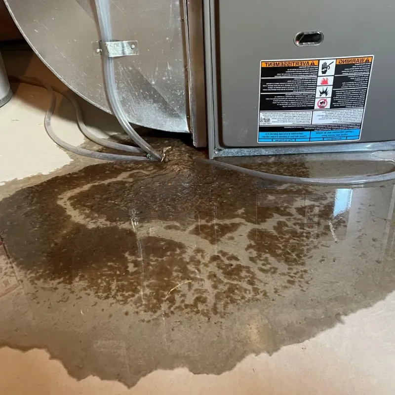 Pipe Burst and Leak Restoration in Rotan, TX