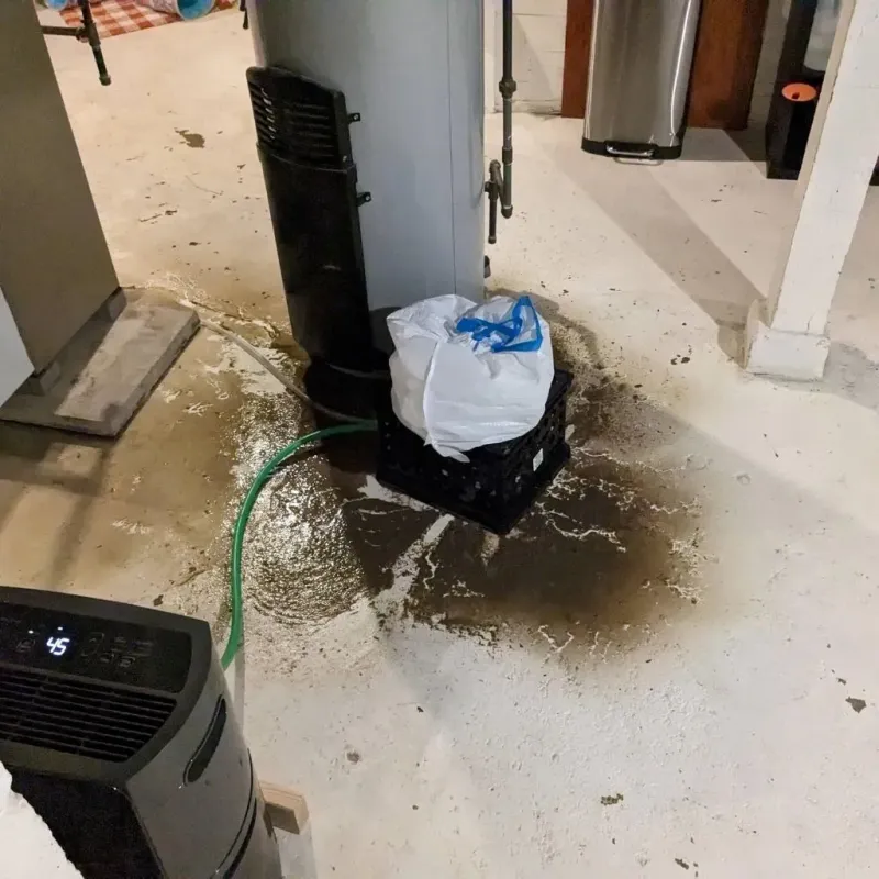 Sewage Backup Cleanup Service in Rotan, TX